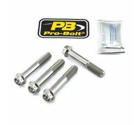 Kit attacchi pinza freno PRO BOLT Argento 17020537