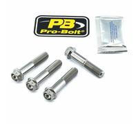 Kit attacchi pinza freno PRO BOLT Argento 17020540