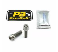 Kit attacchi pinza freno PRO BOLT Argento 17020572