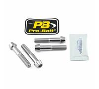 Kit attacchi pinza freno PRO BOLT Argento, Acciaio Inox 17020631