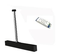 Kit attuatore lineare per apricancello Spingitore automatico for lucernario Apri finestra a battente elettrico Motore for catena dell'anta di ventilazione Modulo Tuya Telecomando RF opzionale(KitB1)