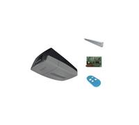 Kit AUTOMAZIONE per BASCULANTI E SEZIONALI 24V DC Came Ver 8K01MV-024