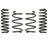 Kit autotelaio, molle EIBACH E10-85-041-01-22 per GOLF VII 2 2013-2017