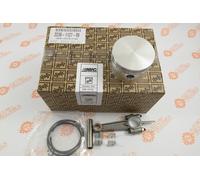 Kit Biella Pistone Bassa Pressione per Gruppi Pompanti Abac B4900 / Balma NS29S