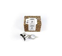 Kit Biella Pistone per Gruppi Pompanti Abac PAT24 - A29