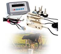 Kit Bilancia Durevole Per Bestiame, Animali Commerciali, Indicatore Di Alta Precisione, C0.05 T, 1 Ton, 2 Ton, 3 Ton, Piedini Di Livellamento Di Precisione C3, Bovini E Ovini(1 T)