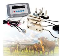 Kit Bilancia per Bestiame Portatile, 5000kg Piattaforma Pesatura Animale con Display LCD Retroilluminato, Bilancia Fattoria con Celle di Carico per Bovini, Suini, Pecore,Altro Bestiame(1t)