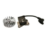 Kit bobina elettronica compatibile motore KASEI decespugliatore 430 Euro 2