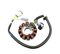 Kit bobina statore generatore NC250 NC450 Parti bobina statore adatta for motore 250CC 450CC T6