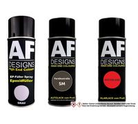 Kit bomboletta spray epossidica per FordAustralia SM Smoke bomboletta spray...
