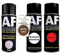 Kit bomboletta spray epossidica per Nissan CAX Penny bomboletta spray metalli...