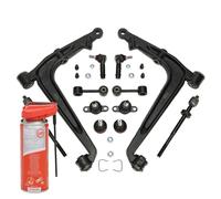 Kit bracci oscillanti anteriori + olio multifunzione per VW TRANSPORTER T4