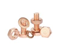 Kit bulloni e dadi a testa esagonale esterna in rame M6 con rondelle piatte e elastiche, set da 2/4, viti esagonali in rame Viti di fissaggio(M6x70 (2 sets))