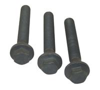Corteco Kit bulloni puleggia albero motore 80004867