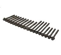 Kit bulloni testata AJUSA 81042200 per FORD RANGER (ET) 3 2006-2012