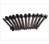 Kit bulloni testata ELRING 819.875 per VOLVO S70 (874) 2.5 1997-2