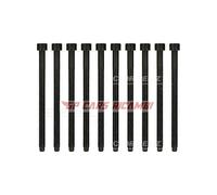 Set di bulloni per testa del cilindro REINZ 14-32121-01