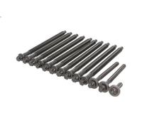 Kit bulloni testata REINZ 14-32347-01 per BMW 1 (F20) 1.6 2011-2015