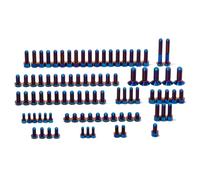 Kit bulloni viti Complete titanio per Arctic Leopard XE Pro S