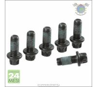 Kit bulloni volano Sachs per FORD ECOSPORT KA+