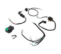 Kit Cablaggio Bobina Accensione Completo Per CDI per 50cc 70cc 90cc 110cc 125cc