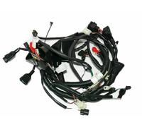 Kit cablaggio cavo principale + fanale posteriore per Royal Enfield Classic 5...