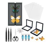 Kit campione farfalla include perni, scheda di montaggio, strumenti di diffusione, vetrina, etichette, pinze, conservazione e presentazione campioni di farfalle. (Kit scatola espositore in PVC nero)