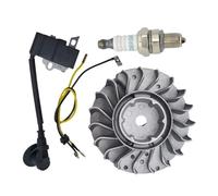 Kit candela bobina di accensione volano adatto for motosega MS251 MS251C