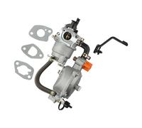 Kit Carburatore 0.03-1.56KPA 1 Set 168F 170F 220/110 (V) V 42mm Accessori