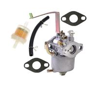 Kit carburatore per Einhell Generatore STE 800 STE 8000/1 STE 800/1 BEX/1