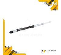 Kit Cartucce Forcelle Moto Anteriori Ohlins molle escluse per BMW R 1200 FKS 211