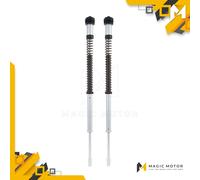 Kit Cartucce Forcelle Moto Anteriori Ohlins molle escluse per Honda CB FKS 225