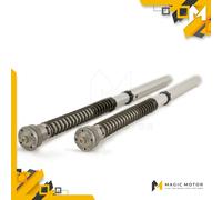 Kit Cartucce Forcelle Moto Anteriori Ohlins molle escluse per Honda CBR FGK 241