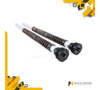 Kit Cartucce Forcelle Moto Anteriori Ohlins molle escluse per Honda CRF FKA 111