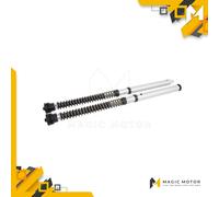 Kit Cartucce Forcelle Moto Anteriori Ohlins molle escluse per Kawasaki Z FKS 511