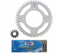 KIT CATENA ADATTABILE BETA 50 RR 2006>2011 (4 FISSAGGI) 420 11x51 (ALESAGGIO 100mm) (RAPPORTO ORIGINALE) -AFAM-
