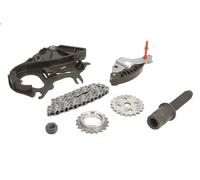 Kit catena, azionamento pompa olio SWAG 20 94 7978 per BMW 1 (E87) 2 2004-2007