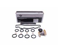 Kit catena di distribuzione CITROEN FORD FIAT MAZDA MINI PEUGEOT Volvo