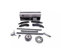 Kit catena distribuzione 21SKV174 ESEN SKV per BMW X5 X6 6 Coupé 7 5 Touring 5 3