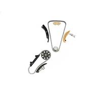 Kit catena distribuzione B18846 Borsehung per VW SEAT AUDI