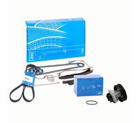 Kit Catena Distribuzione Cinghia Servizi e Pompa Acqua per Fiat 500 Ford Ka