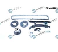 Kit catena distribuzione compatibile con CITROËN FIAT FORD PEUGEOT DRM601203