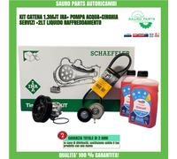 Kit catena distribuzione INA 1.3 multijet + pomp cinghi tendicinghi liquido