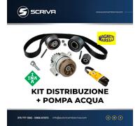 KIT CATENA DISTRIBUZIONE INA+ POMPA ACQUA MARELLI+ CINGHIA SERVIZI PUNTO 1.3 MJT