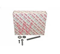 iwis Motorsysteme 70007Set Kit catene, Azionamento pompa olio