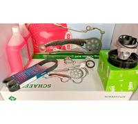 kit catena distribuzione Lancia Ypsilon 1.3 Multijet+pomp cinghia servizi INA