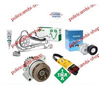 Kit catena distribuzione Punto 1.3 multijet Fiat + pompa acqua e kit servizi INA