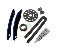 Kit catena distribuzione Simplex 559 1780 30 INA