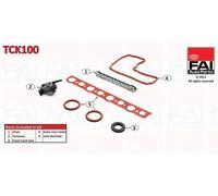 Kit catena distribuzione Simplex TCK100 FAI AutoParts per PEUGEOT CITROËN FORD