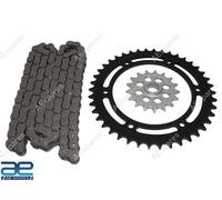 Compatibile con kit catena e pignone TVS Apache 310 RR